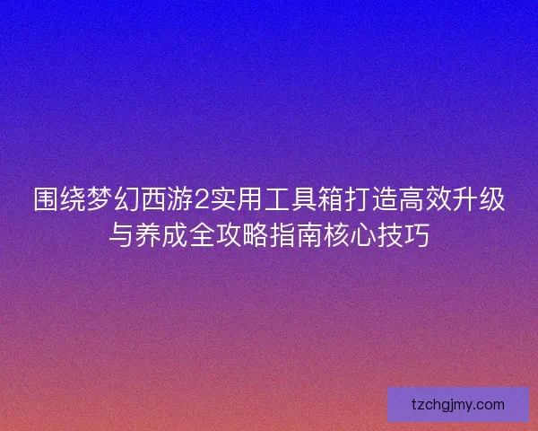 围绕梦幻西游2实用工具箱打造高效升级与养成全攻略指南核心技巧